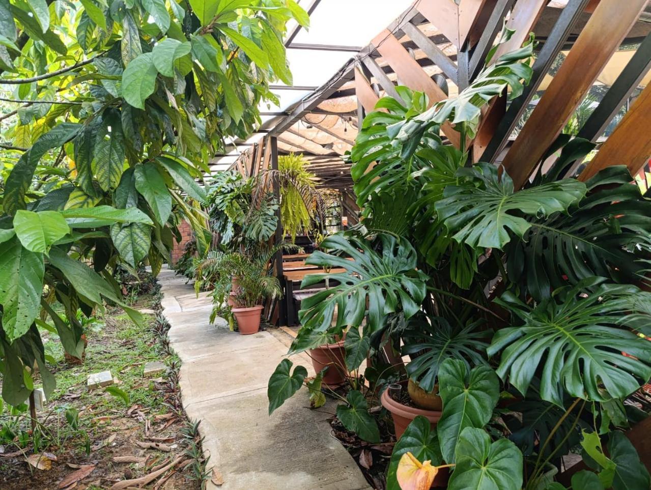 Hotel Boutique Villaliliana 莱蒂西亚 外观 照片